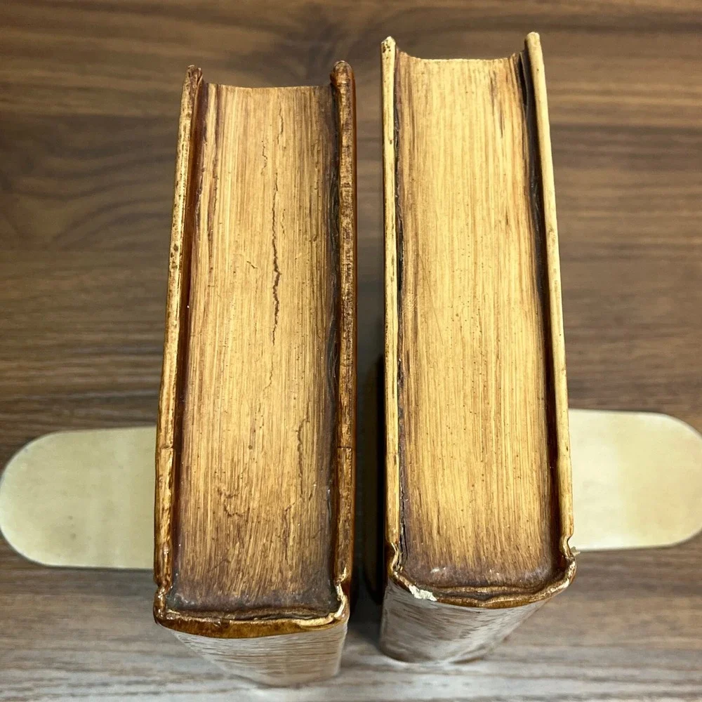 Vintage‎ snowy Owl Barn Owl Handmade Wooden Shellac Book Ends